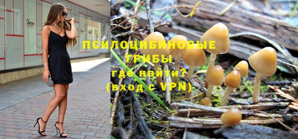 спайс Алексеевка