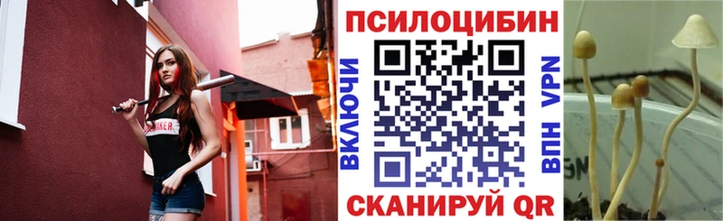ОМГ ОМГ ссылки Находка Галлюциногенные грибы мухоморы